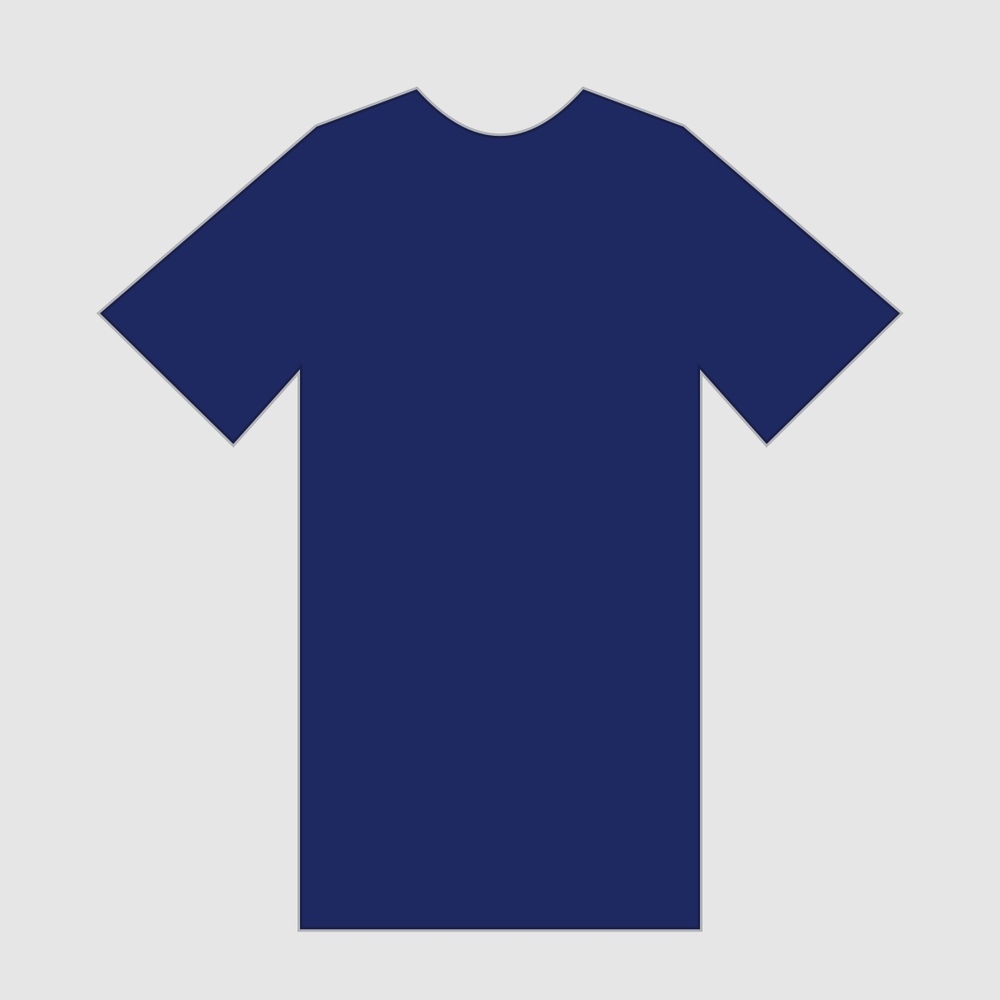 Levi's Navy T-shirts